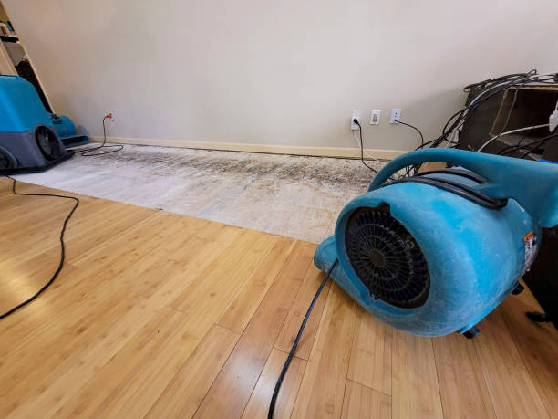 Professional Water Damage Repair technician working in Bondurant, IA